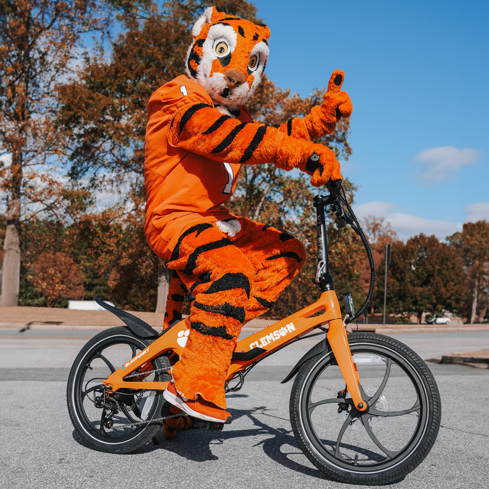 Clemson Blaupunkt E-Bike