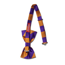 Clemson Collegiate Striped Bow Tie
