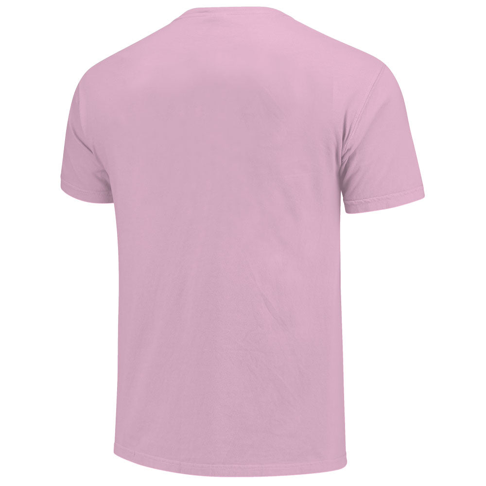 Clemson Comfort Colors Cancer Ribbon Tee