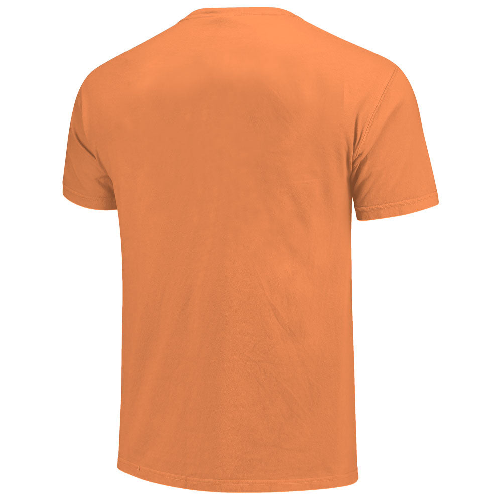 Clemson Comfort Colors Stately Tiger Tee