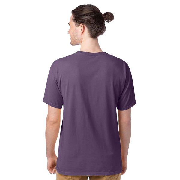 Clemson Comfort Wash Arch Tee - PURPLE
