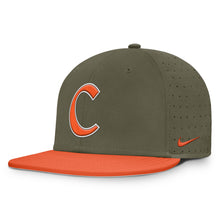 Clemson Nike Olive Team Baseball Hat