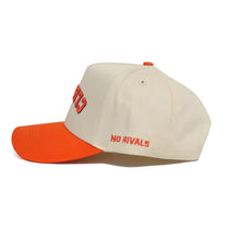 Clemson No Rivals Upside Down Clemson Cap - NAT/ORG