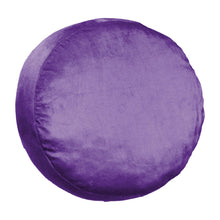 Clemson Northwest Cloud Logo Pillow