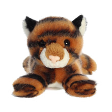 Clemson Taylor Mini Tiger