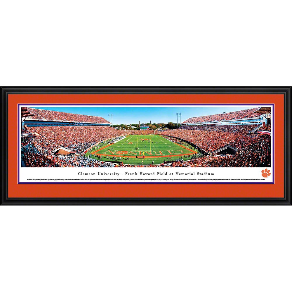 Endzone Panoramic Print