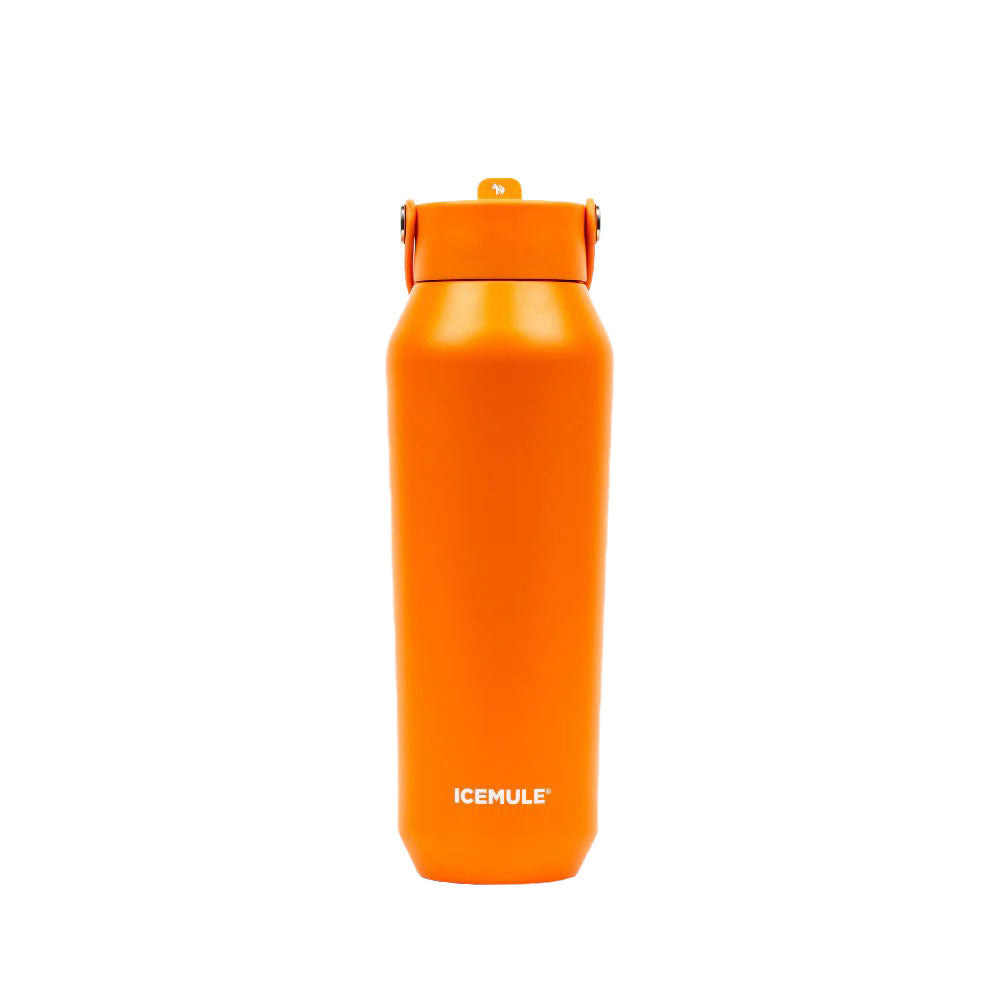 ICEMULE Sports Bottle