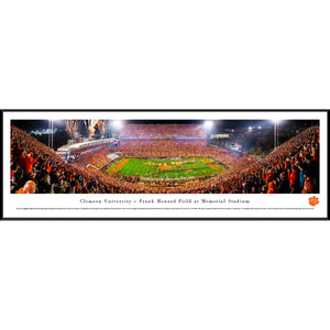 Palmetto Bowl Panoramic Print