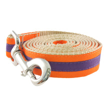 Stripe Dog Leash