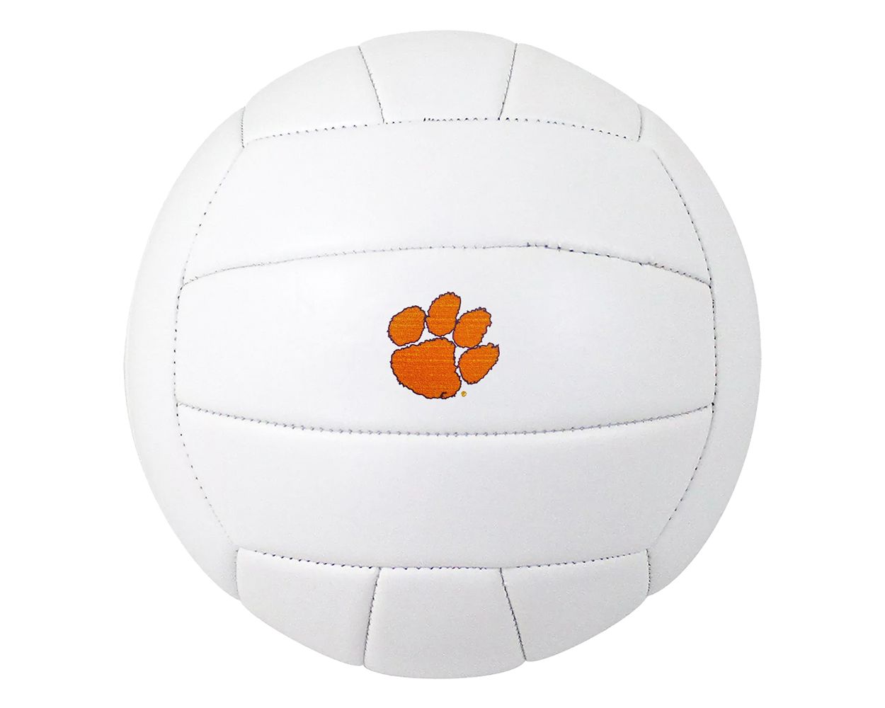 Clemson Volleyball