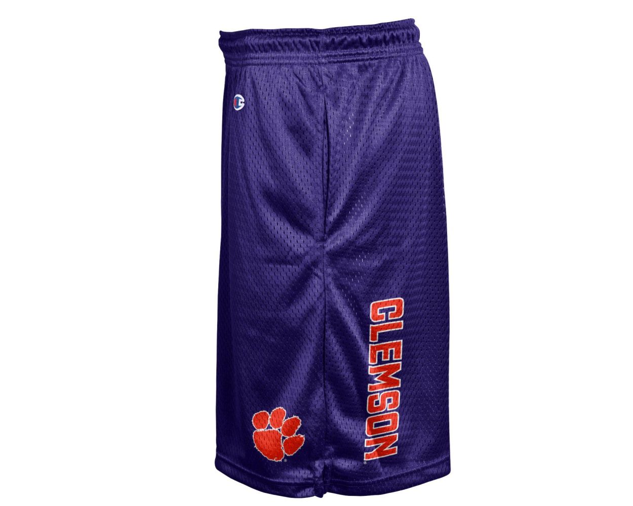 Purple champion discount mesh shorts