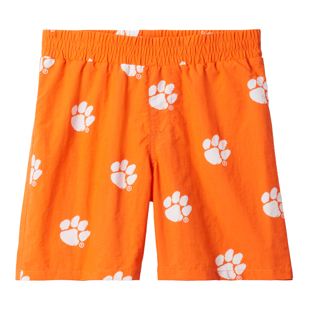 Clemson pfg shorts 2025