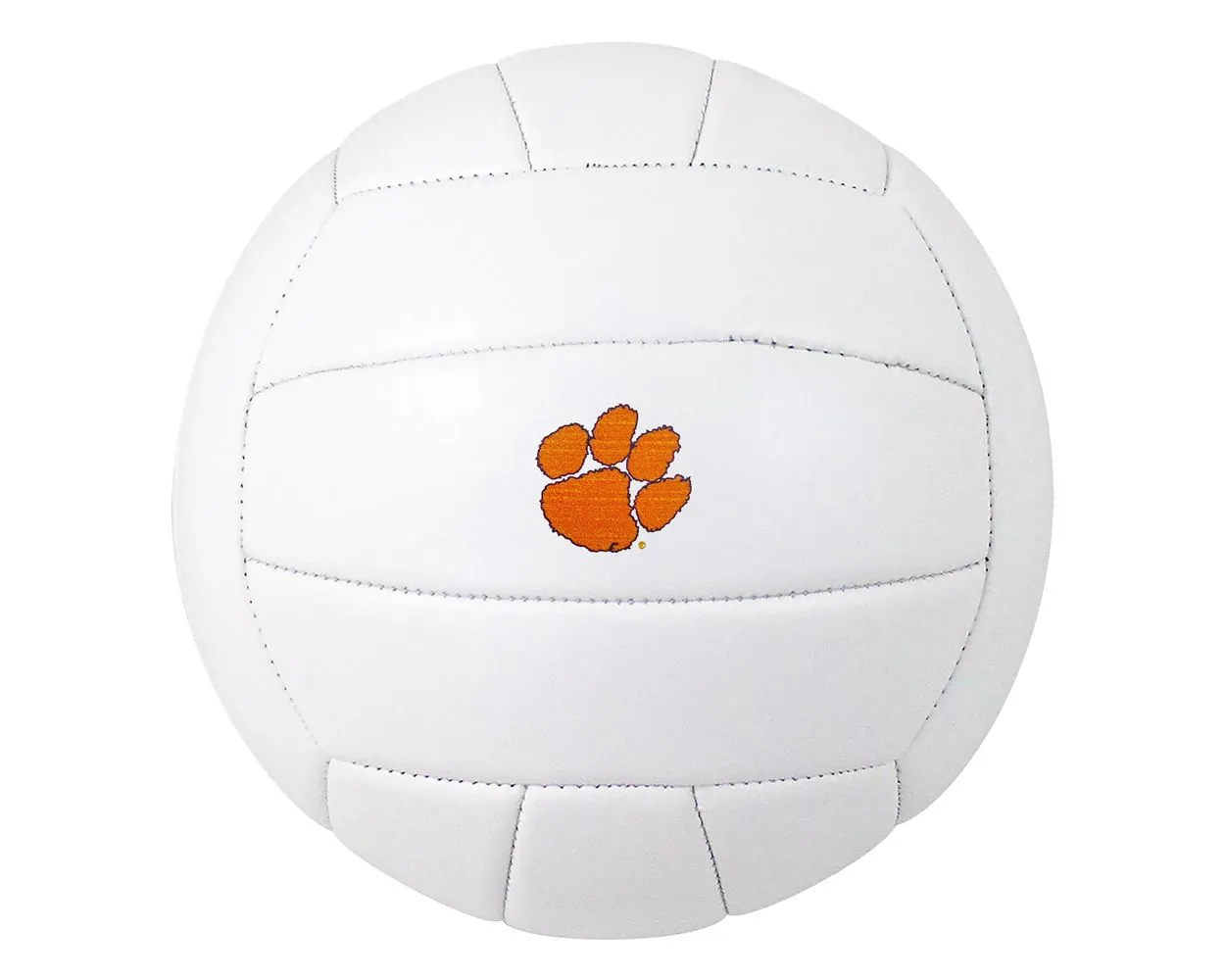 Clemson Volleyball
