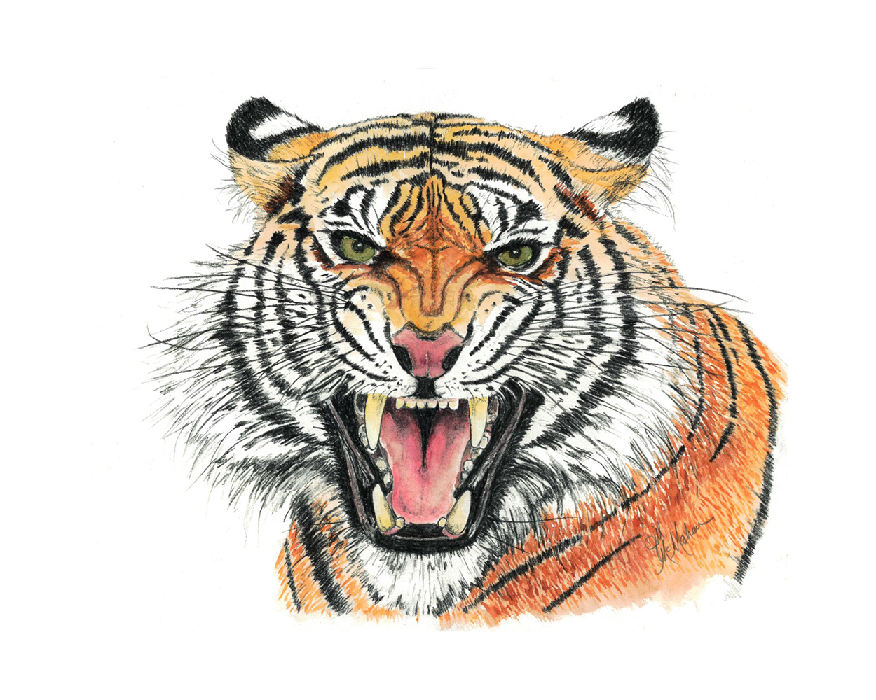 Clemson Watercolor Tiger Print Clemson Watercolor Tiger Print
